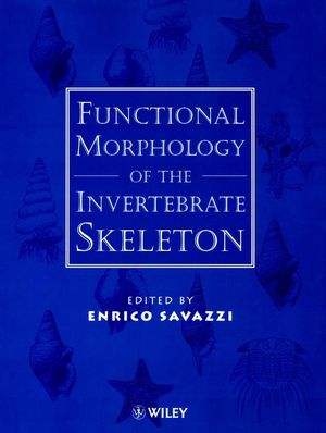 Functional Morphology of the Invertebrate Skeleton