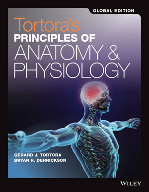 Tortora's Principles of Anatomy and Physiology, 15th Edition, Global  Edition | Wiley