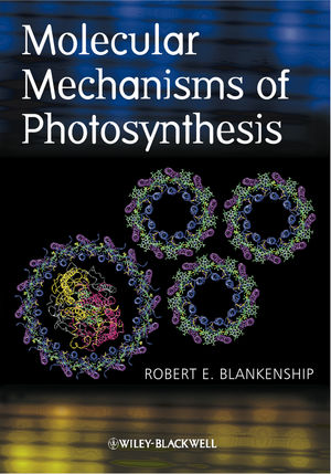 Molecular Mechanisms of Photosynthesis