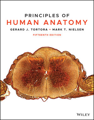 anatomy and physiology tortora & grabowski figure 1.2