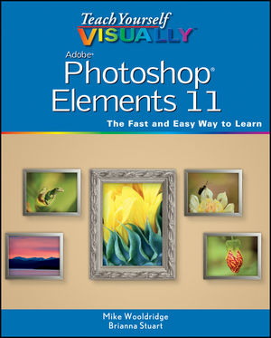learning adobe photoshop elements 11