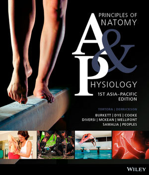 principle of anatomy and physiology tortora 13th edition