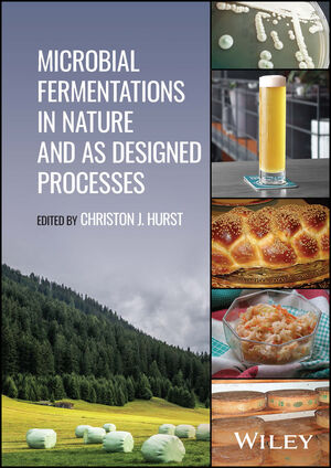 Microbial Fermentations in Nature and as Designed Processes