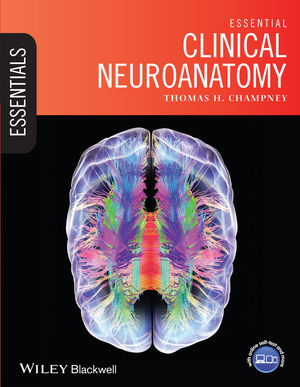 Neurology: A Queen Square Textbook: 9781118486177: Medicine