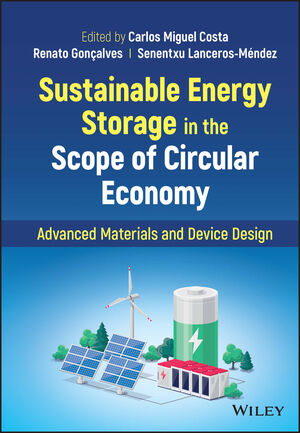 Sustainable Energy Storage in the Scope of Circular Economy 