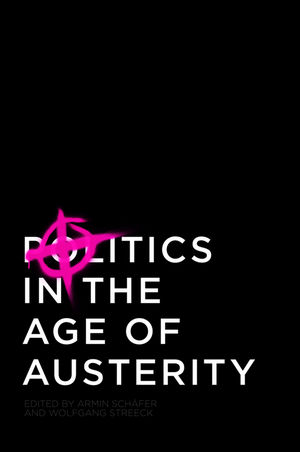 Politics In The Age Of Austerity Wiley