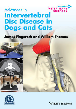 Canine 2024 disc disease