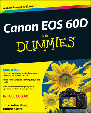 canon eos 60d price in egypt