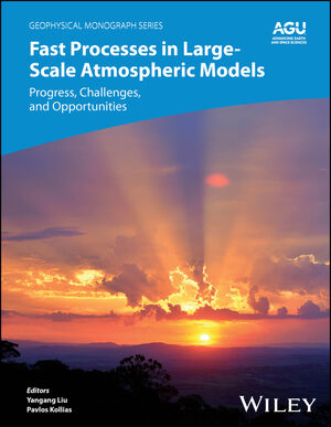 Fast Processes in Large-Scale Atmospheric Models: Progress, Challenges, and Opportunities