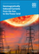 Geomagnetically Induced Currents from the Sun to the Power Grid (1119434343) cover image